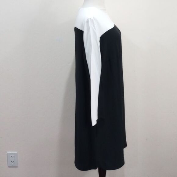 Akris Punto Black & White Color Block Shift Dress, Size 12 - Picture 6 of 11